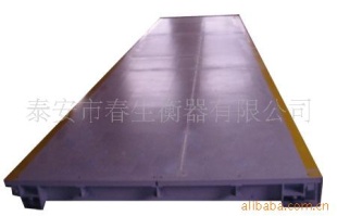 SCS-20数字式电子衡器