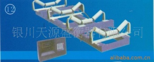 ICS系列电子皮带秤