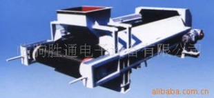 皮带秤ST