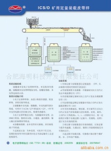 矿用定量装载皮带秤