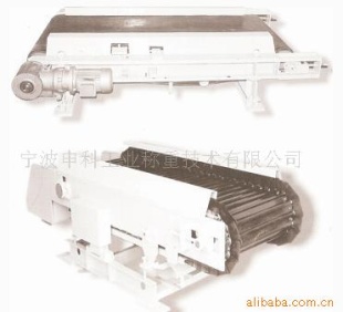自动上料皮带秤