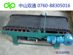 电子皮带称TDG-500