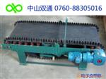 电子皮带称TDG-500