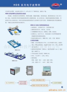 HDS电子皮带秤