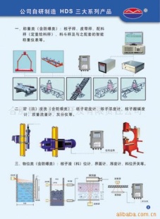 核子皮带称