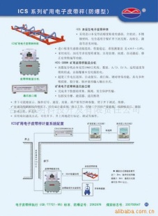 防爆电子皮带秤