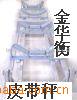 电子皮带称ICS