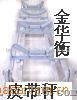电子皮带称ICS