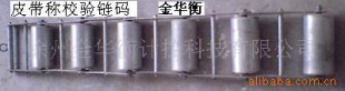 电子皮带秤ICS