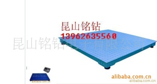 电子地磅吊秤SCS-03