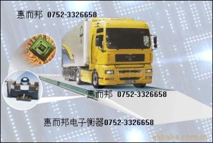 广东电子数字地磅