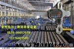 旋转式直视式电子吊秤