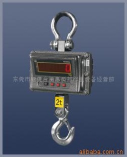 电子吊秤TM