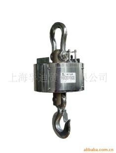 OCS-XZ-F10直视式电子吊秤