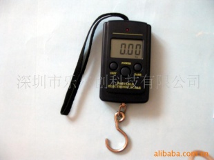 电子秤CH-10