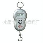 dp_g003电子吊秤