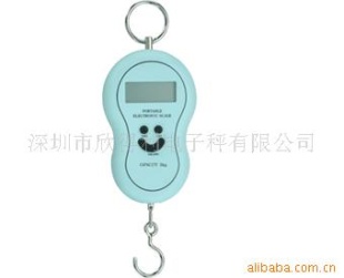 电子小吊秤