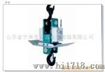 电子吊钩称ocs-xs-5