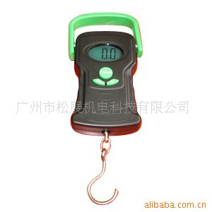50kg电子小吊秤