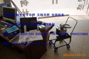 江苏淮安翔宇电子吊秤