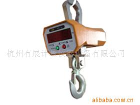直示型电子吊称