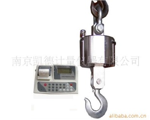 上海友声新版电子吊秤