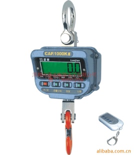 直视吊钩秤WH-1020