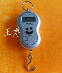 优质吊钩秤