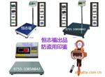 10T电子吊磅OCS系列