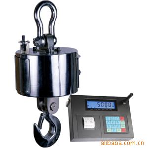 防爆磅称OCS-1-50T