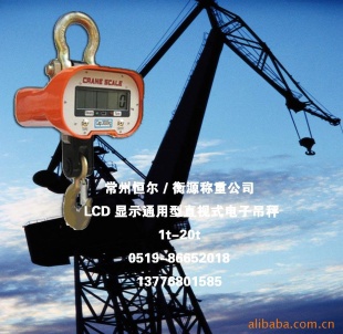 LCD显示通用型直视式电子吊秤