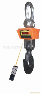 重型电子吊秤