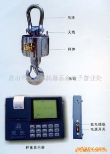 OCS-W型无线传输电子吊秤