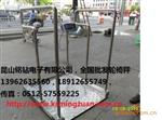 电子显示轮椅秤500KG