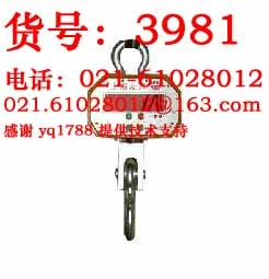 OCS电子吊称
