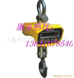 直视吊秤OCS
