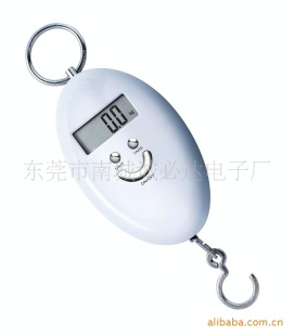 挂钩秤134
