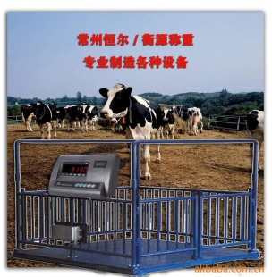 牲畜电子秤