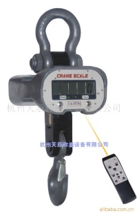 B通用型电子吊秤