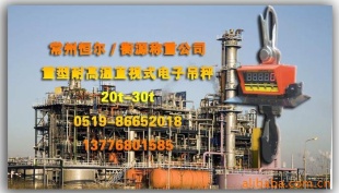 重型耐高温直视式电子吊秤