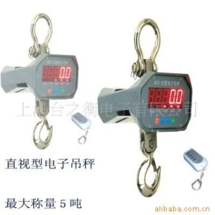 杨浦1吨-5吨电子吊秤