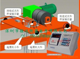 天车秤OCS-QD