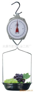 吊秤带托盘XR-609