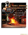 耐高温式直视式电子吊秤