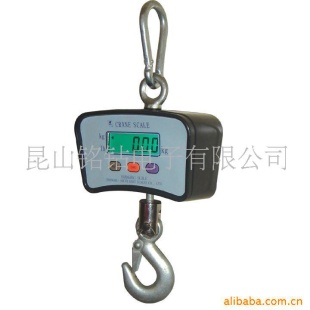 500KG小吊秤