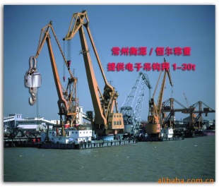 无线电远程传输电子吊秤