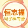 OCS系列3000KG电子吊秤