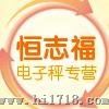 OCS系列3000KG电子吊秤