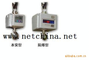 M310537防爆电子吊秤