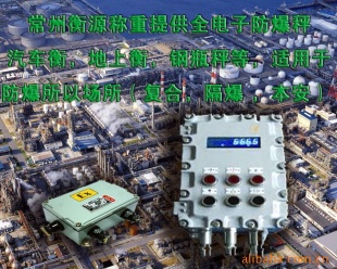 全电子防爆秤